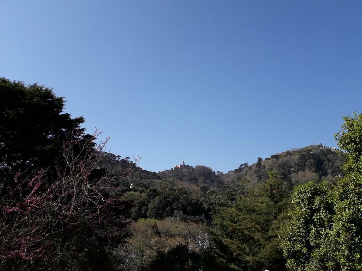Vila A Casinha Sintra Exteriér fotografie